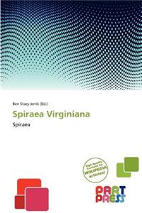 Spiraea Virginiana