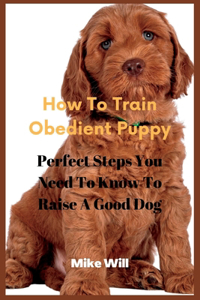 How To Train Obedient Puppy