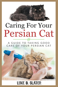 Caring For Your Persian Cat