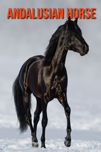 Andalusian Horse
