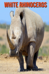 White Rhinoceros