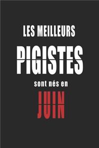 Les Meilleurs Pigistes sont nés en Juin carnet de notes