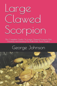 Large Clawed Scorpion: The Complete Guide On Large Clawed Scorpion Diet, Housing and feeding (For Both Kids And Adults)