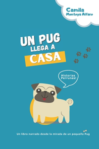 Un Pug llega a casa