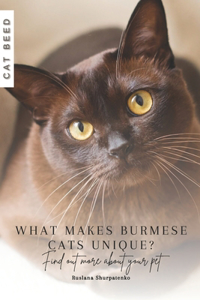 What makes Burmese cats unique?