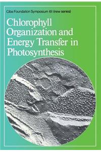 Chlorophyll Organization and Energy Transfer in Photosynthesis