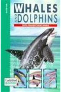 Whales and Dolphins