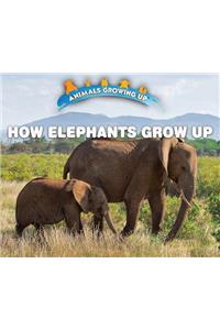 How Elephants Grow Up