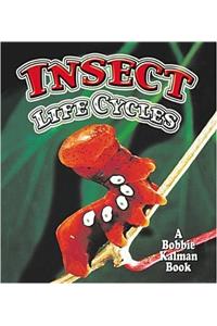 Insect Life Cycles