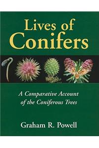 Lives of Conifers