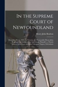 In the Supreme Court of Newfoundland [microform]