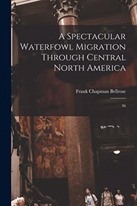 Spectacular Waterfowl Migration Through Central North America