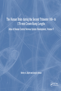 Human Brain During the Second Trimester 160- To 170-MM Crown-Rump Lengths