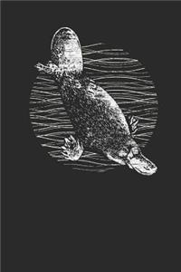Platypus Drawing