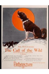 The Call Of Wild