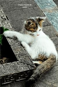 Chaton Carnet de notes