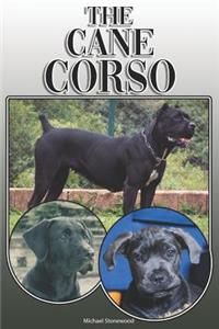 The Cane Corso