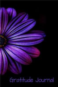 Gratitude Journal