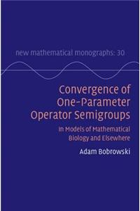 Convergence of One-Parameter Operator Semigroups
