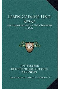 Leben Calvins Und Bezas