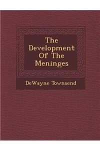 Development of the Meninges
