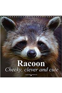 Racoon - Cheeky, Clever and Cute 2017: Extremely Intelligent Animals (Calvendo Animals)