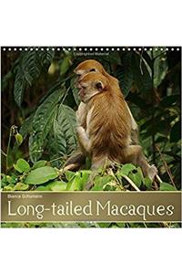 Long-Tailed Macaques 2017