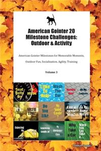 American Gointer 20 Milestone Challenges