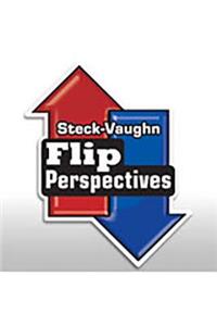 Steck-Vaughn on Ramp Approach Flip Perspectives
