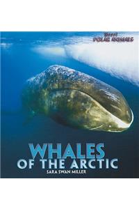 Whales of the Arctic