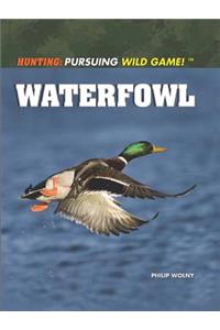 Waterfowl