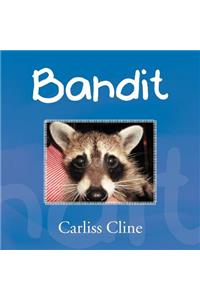 Bandit