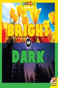 Bright or Dark