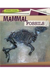 Mammal Fossils
