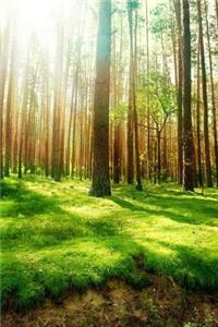 MindBlowing Nature Journal 1