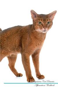 Abyssinian Cat Affirmations Workbook Abyssinian Cat Presents