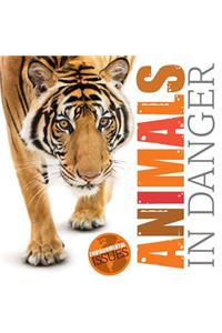 Animals in Danger