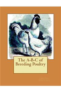 The A-B-C of Breeding Poultry