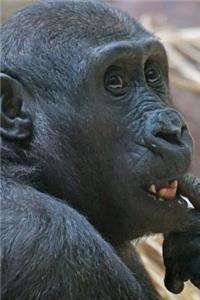 Shy Gorilla Portrait Journal