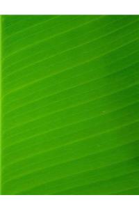 Banana Leaves