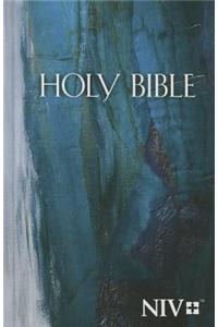 Holy Bible-NIV