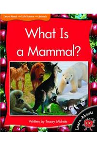 What Is a Mammal?