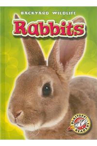 Rabbits