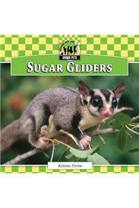 Sugar Gliders