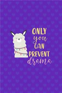 Only You Can Prevent Drama