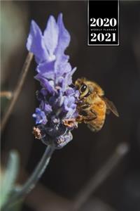 Bee Insects Beekeeping Beekeeper Week Planner Weekly Organizer Calendar 2020 / 2021 - Smell of Lavender