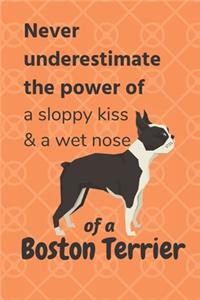 Never underestimate the power of a sloppy kiss & a wet nose of a Boston Terrier