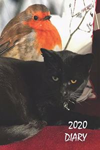2020 Diary
