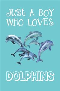 Just A Boy Who Loves Dolphins