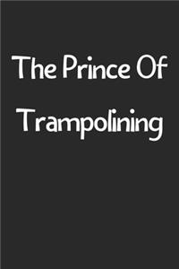 The Prince Of Trampolining